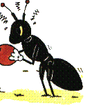 Fourmis.GIF